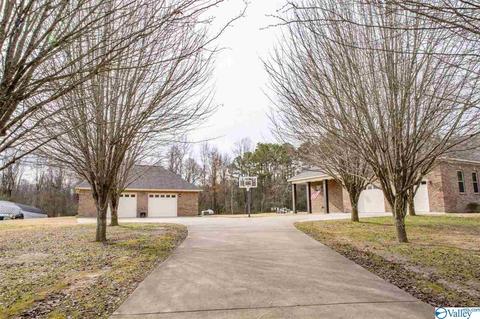 254 Bluffview Dr, Arab, AL 35016 photo 4