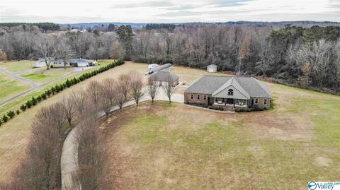 254 Bluffview Dr, Arab, AL 35016 photo 1