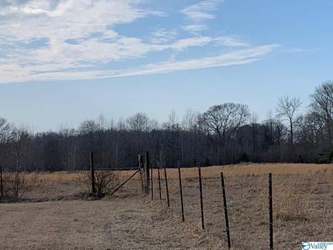 4949 County Road 327, Trinity, AL 35673 photo 5