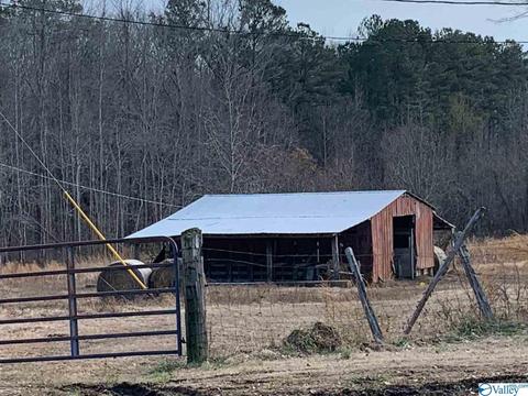 4949 County Road 327, Trinity, AL 35673 photo 4