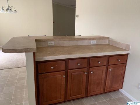 4949 County Road 327, Trinity, AL 35673 photo 11