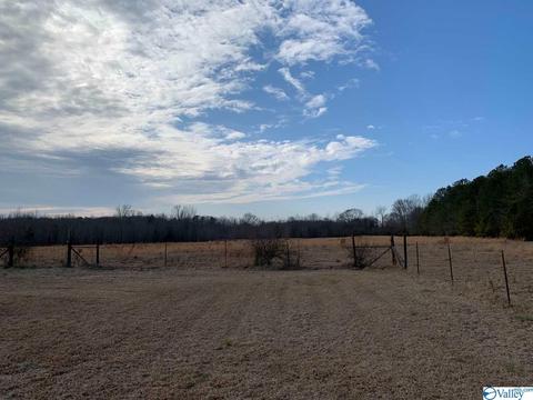 4949 County Road 327, Trinity, AL 35673 photo 7