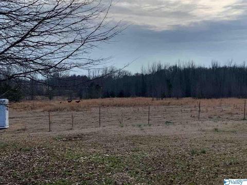 4949 County Road 327, Trinity, AL 35673 photo 8