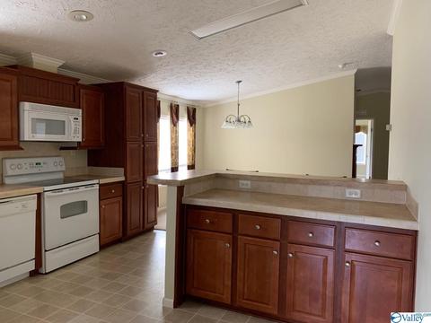 4949 County Road 327, Trinity, AL 35673 photo 10