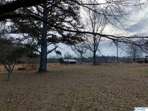 4949 County Road 327, Trinity, AL 35673 photo 3