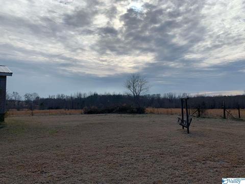 4949 County Road 327, Trinity, AL 35673 photo 6