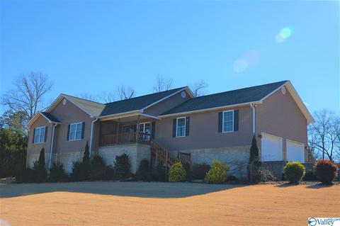 471 County Road 224, Dutton, AL 35744 photo 1