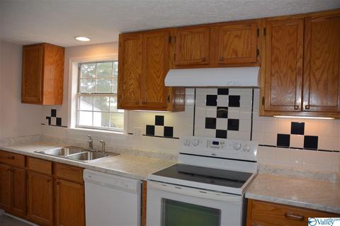 73 Cementary St, Section, AL 35771 photo 4