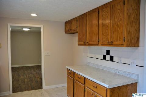 73 Cementary St, Section, AL 35771 photo 5