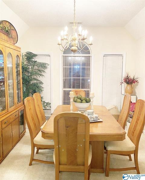 307 Chambers Rd, Arab, AL 35016 photo 17