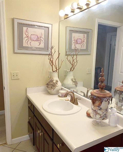 307 Chambers Rd, Arab, AL 35016 photo 38