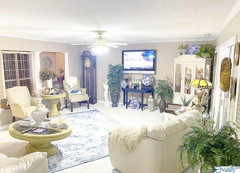 307 Chambers Rd, Arab, AL 35016 photo 13