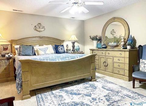 307 Chambers Rd, Arab, AL 35016 photo 27