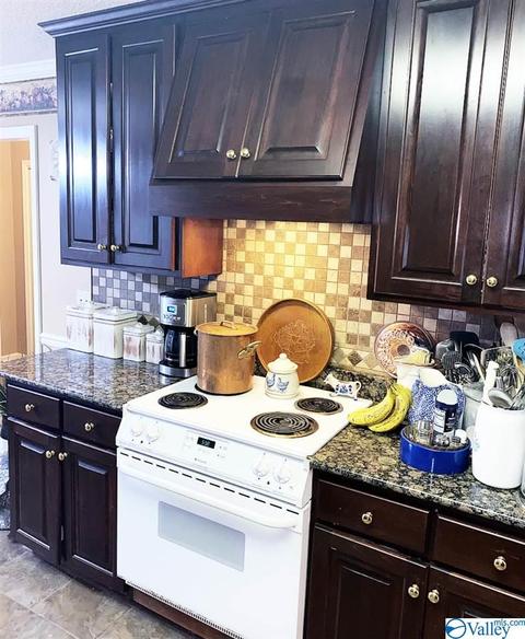 307 Chambers Rd, Arab, AL 35016 photo 25