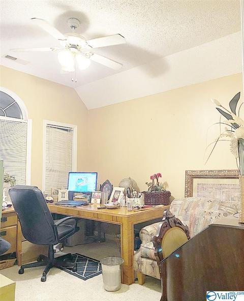 307 Chambers Rd, Arab, AL 35016 photo 47