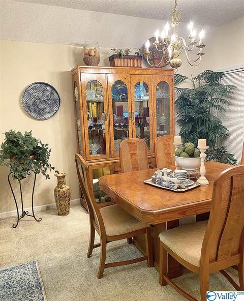 307 Chambers Rd, Arab, AL 35016 photo 18