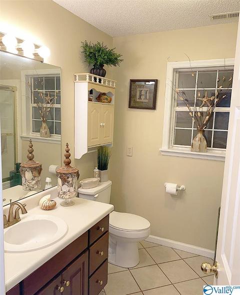 307 Chambers Rd, Arab, AL 35016 photo 39