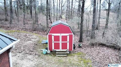 307 Chambers Rd, Arab, AL 35016 photo 9