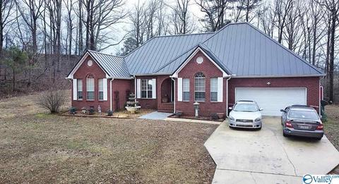 307 Chambers Rd, Arab, AL 35016 photo 4
