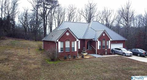 307 Chambers Rd, Arab, AL 35016 photo 5
