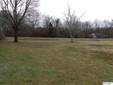 2026 Simpson Point Rd, Grant, AL 35747 photo 29