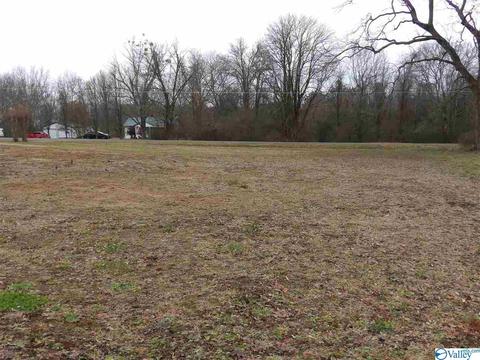 2026 Simpson Point Rd, Grant, AL 35747 photo 34