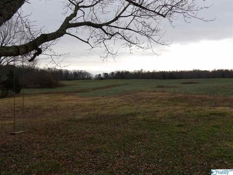 2026 Simpson Point Rd, Grant, AL 35747 photo 30