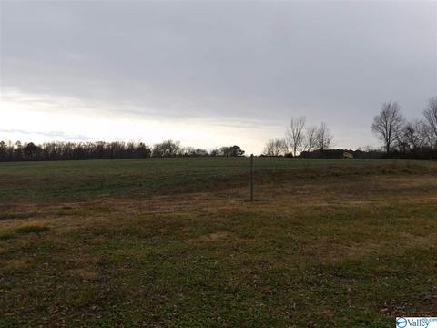 2026 Simpson Point Rd, Grant, AL 35747 photo 31