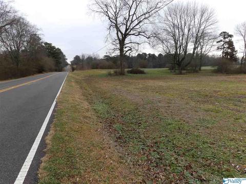2026 Simpson Point Rd, Grant, AL 35747 photo 37