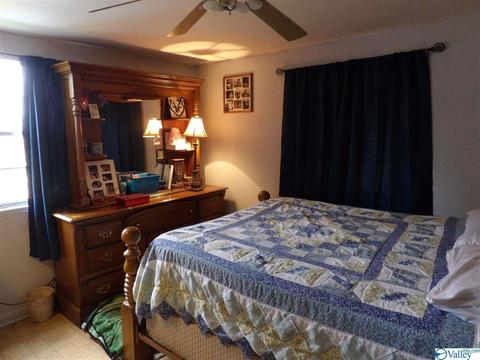 2026 Simpson Point Rd, Grant, AL 35747 photo 13