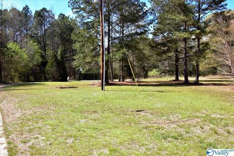 455 County Road 766, Cedar Bluff, AL 35959 photo 29