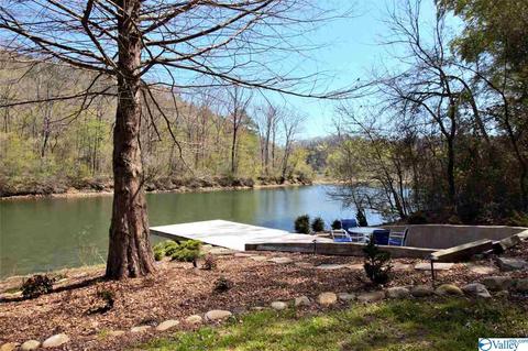 455 County Road 766, Cedar Bluff, AL 35959 photo 34