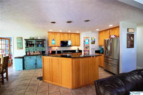 455 County Road 766, Cedar Bluff, AL 35959 photo 3