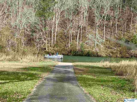 455 County Road 766, Cedar Bluff, AL 35959 photo 43