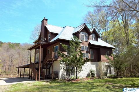 455 County Road 766, Cedar Bluff, AL 35959 photo 31