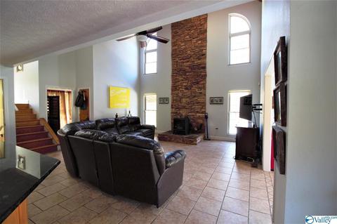 455 County Road 766, Cedar Bluff, AL 35959 photo 40