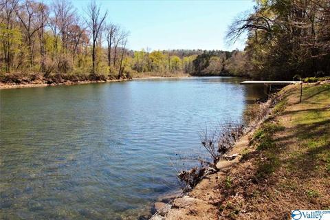 455 County Road 766, Cedar Bluff, AL 35959 photo 32