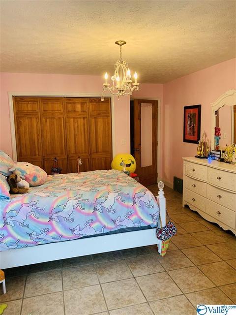 455 County Road 766, Cedar Bluff, AL 35959 photo 22
