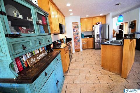 455 County Road 766, Cedar Bluff, AL 35959 photo 48