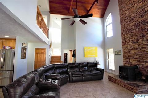 455 County Road 766, Cedar Bluff, AL 35959 photo 18