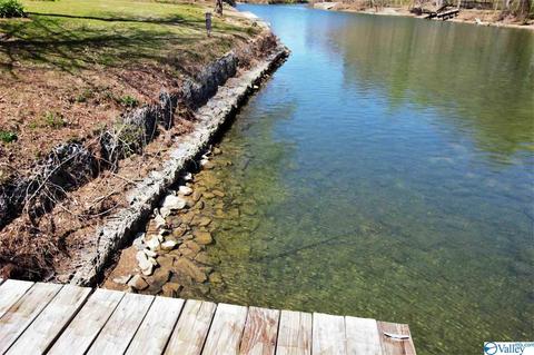 455 County Road 766, Cedar Bluff, AL 35959 photo 35