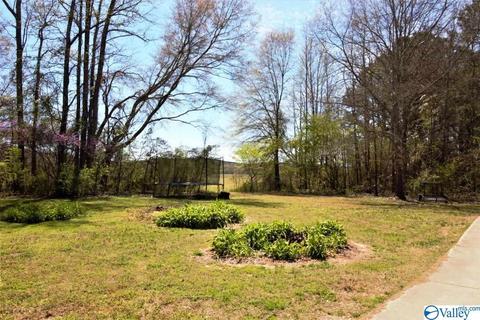 455 County Road 766, Cedar Bluff, AL 35959 photo 28