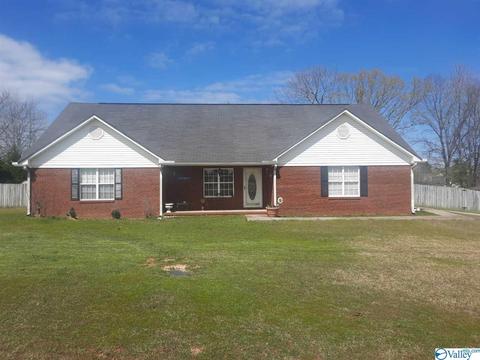 200 County Road 496, Trinity, AL 35673 photo 1