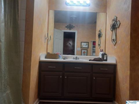 200 County Road 496, Trinity, AL 35673 photo 13