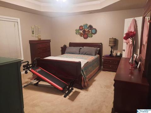 200 County Road 496, Trinity, AL 35673 photo 7