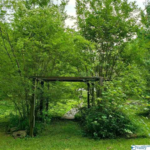 632 Mat Morrow Rd, Arab, AL 35016 photo 2
