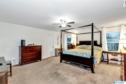 110 Tynedale Dr, Madison, AL 35756 photo 25