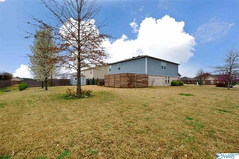 110 Tynedale Dr, Madison, AL 35756 photo 6
