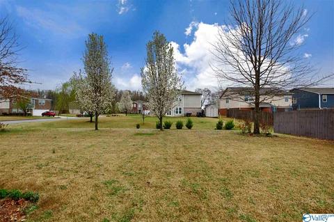 110 Tynedale Dr, Madison, AL 35756 photo 5