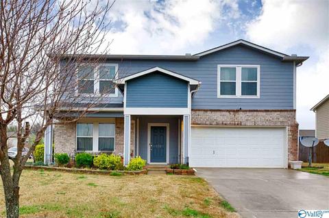 110 Tynedale Dr, Madison, AL 35756 photo 1